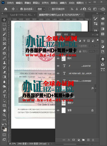 越南护照PSD模板-Vietnam passport PSD template