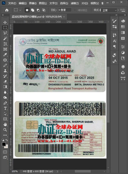 出售孟加拉国驾照PSD模板-Bangladesh Driver's License PSD Template-PS孟加拉国驾驶执照图片