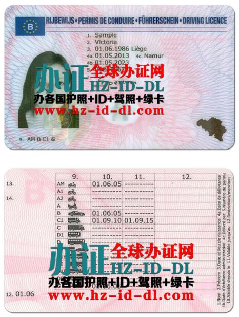 比利时旧版驾照Old Belgian Driver's License,比利时驾照换领中国驾照,在线办理比利时驾照,求代办比利时驾照,怎么办假比利时驾照,购买比利时驾照