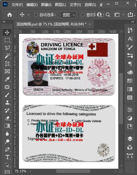 出售汤加驾照PSD模板,Tonga Driver's License PSD Template