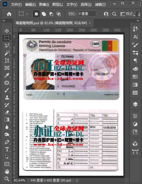 办喀麦隆真实驾照,喀麦隆驾照PSD模板,Cameroon Drivers License PSD Template,喀麦隆驾照PS图片制作,Cameroon driver's license