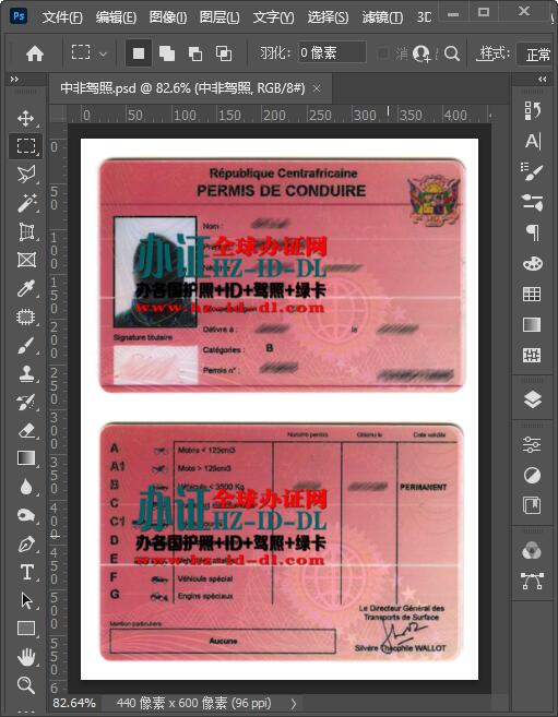 办中非共和国真实驾照,中非共和国驾照PSD模板,Central African Republic Drivers License PSD Template,中非驾照PS图片制作,Central African driver's license