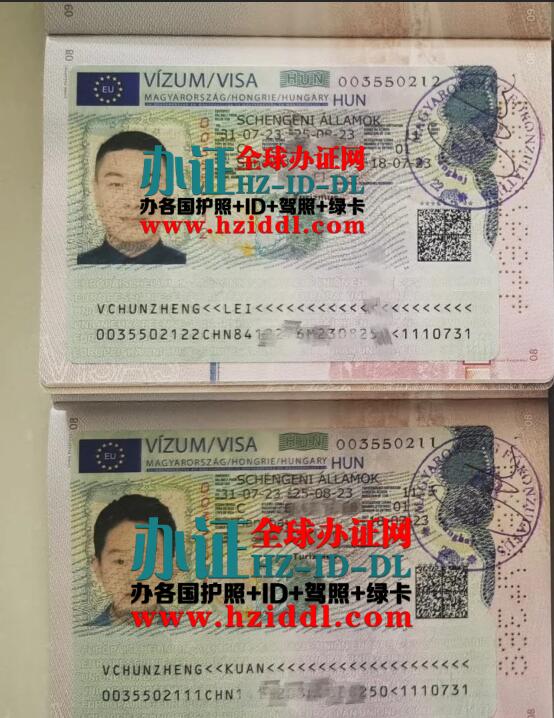 申请到匈牙利的申根签证,匈牙利申根签证办理,匈牙利申根签证申请流程,匈牙利旅游签证申请