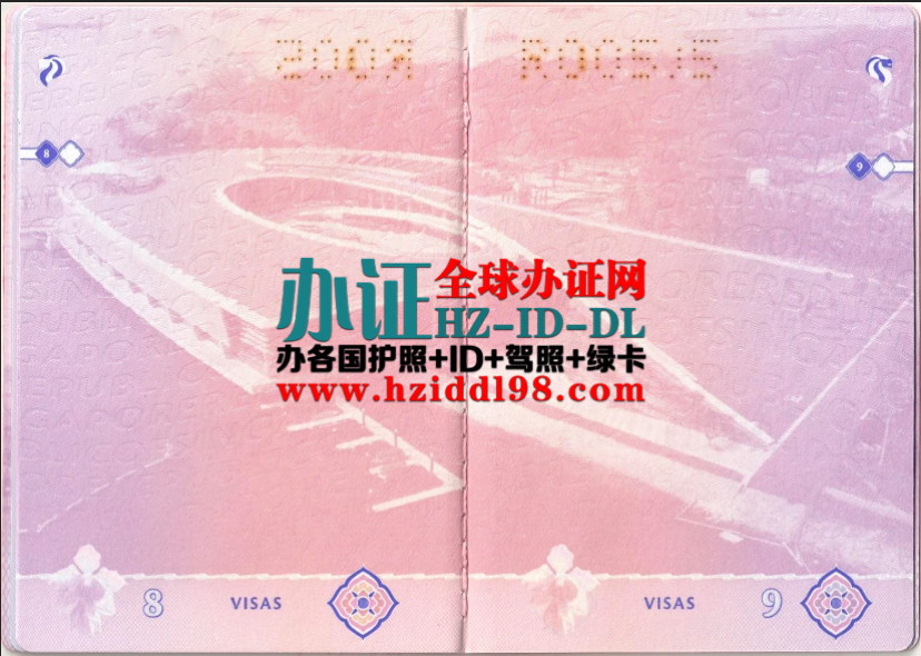 新加坡的护照怎么办