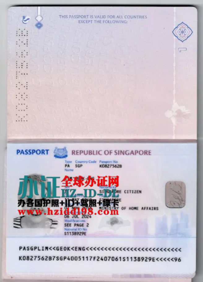 新加坡替头护照办理