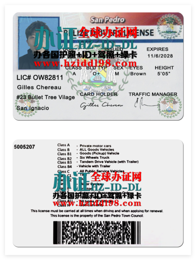 伯利兹驾照高清PSD模板,办伯利兹驾照,Belize drivers license