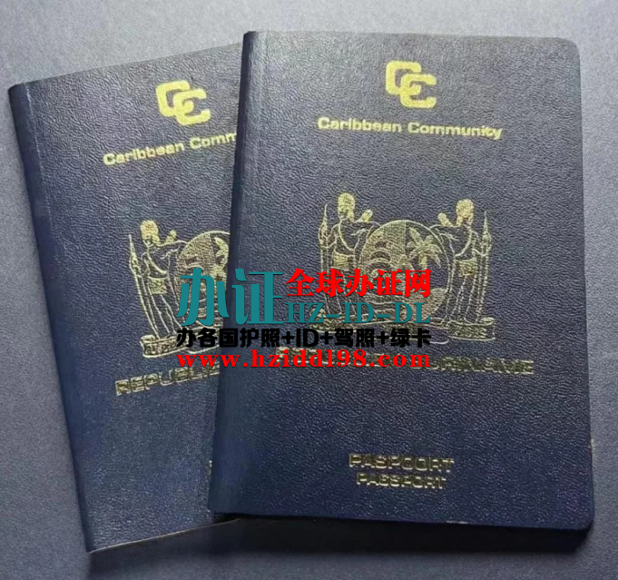 Surinamese passport