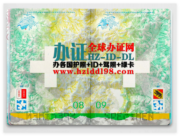 瑞士护照申请与办理