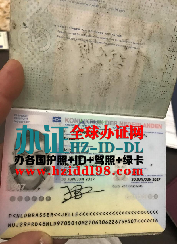 办荷兰高仿护照,办荷兰剃头护照,办荷兰带芯片护照,办荷兰真实护照