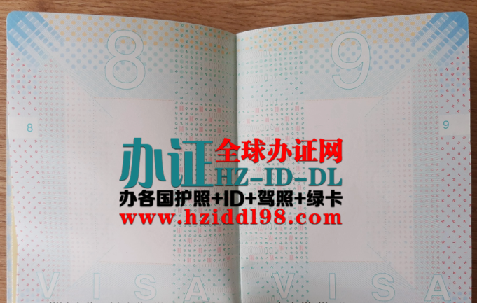 荷兰护照是欧盟护照的一种，其设计和安全特征符合欧盟标准，并包含荷兰的国家特色和高等级防伪技术