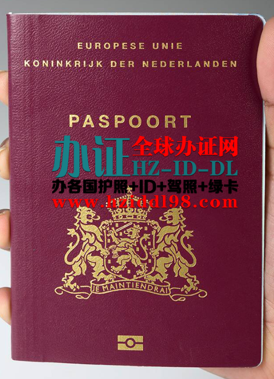 荷兰普通护照：适用于荷兰公民，用于国际旅行，分为生物识别护照（含芯片）和非生物识别护照（旧版）