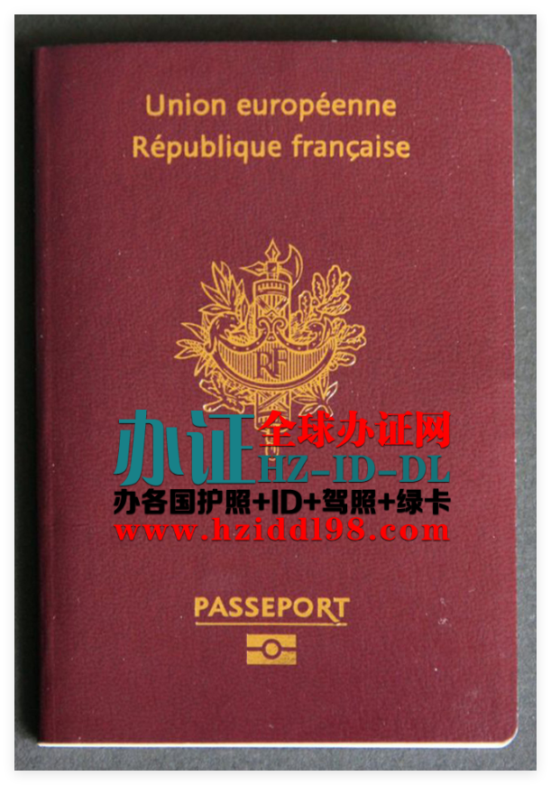 法国护照主要分为以下几种类型，每种类型对应不同的持有人身份和用途