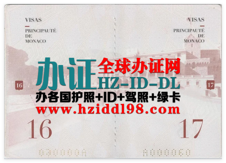 摩纳哥公国目前主要签发以下类型的护照，其设计、安全标准及签发条件均遵循国家法律和国际标准
