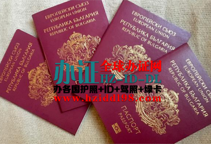 保加利亚护照采用欧盟统一的勃艮第酒红色封面，封面中央印有金色的保加利亚国徽，上方为保加利亚语和英语双语的"欧盟"和"保加利亚共和国"字样，下方为"护照"字样，最下方有电子芯片符号标识。护照共32或48页，有效期5年